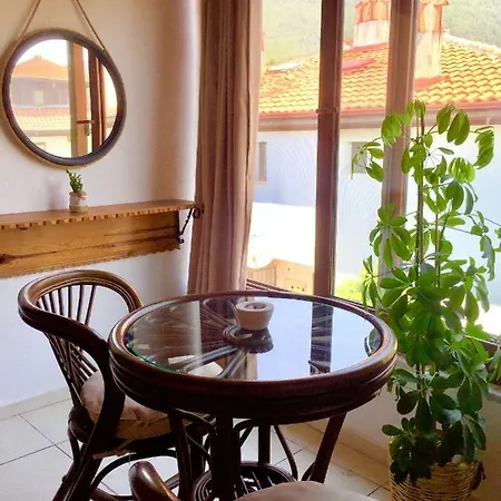 Amigo Dublex Akyaka (Mugla)
